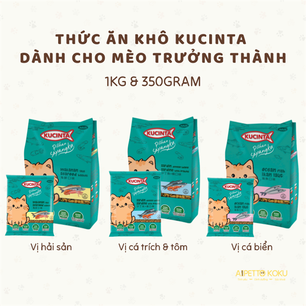 Hạt Kuncinta dành cho mèo trưởng thành