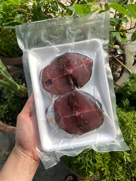 Cá ngừ