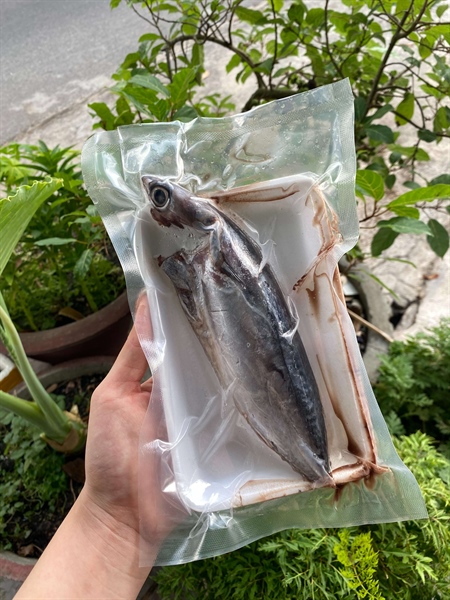 Cá ồ