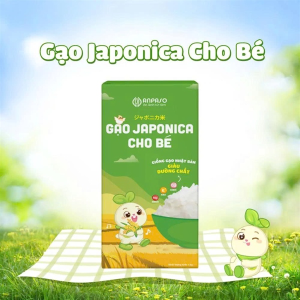 Gạo Nhật Japonica Anpaso 1Kg