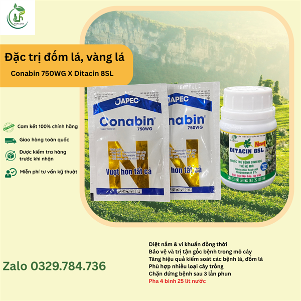 Combo đặc trị đốm lá, vàng lá