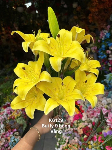 BỤI LY CAO SU THÁI 9B2N6M K6129