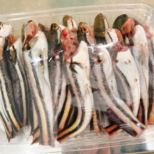 Lóc Bông sông nhỏ làm sạch