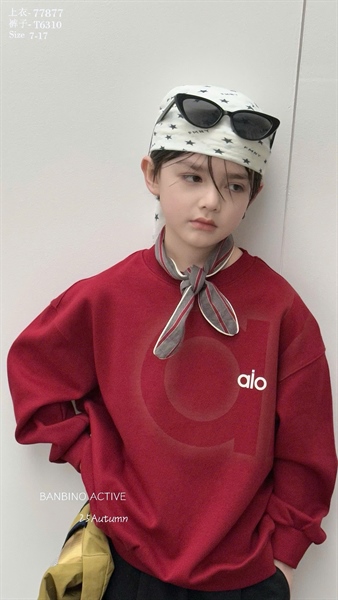 33596-Áo SWT Alo Màu Đỏ BBN