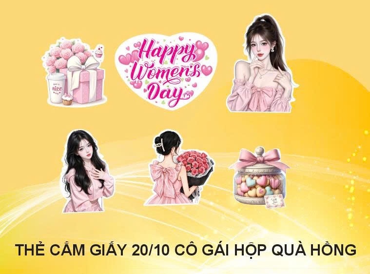 Cắm cô gái hộp quà hồng ( bịch 10 set)