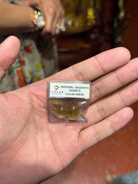 Mặt hồ lô tóc vàng (56642) +