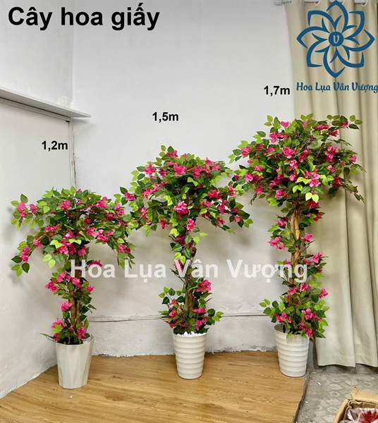 Cây hoa giấy 1,7m - Cây - Hoa Lụa Vân Vượng