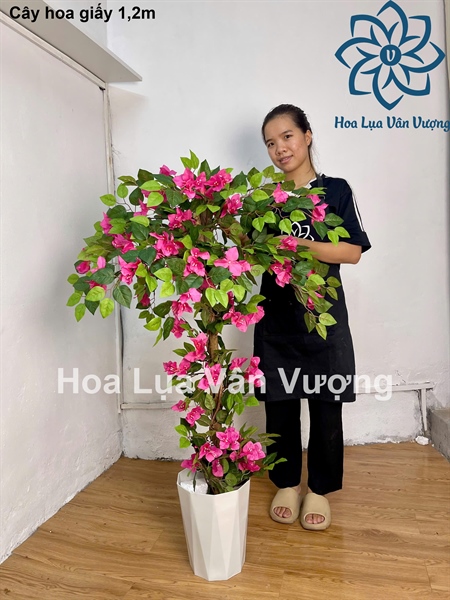 Cây hoa giấy 1,2m - Cây - Hoa Lụa Vân Vượng