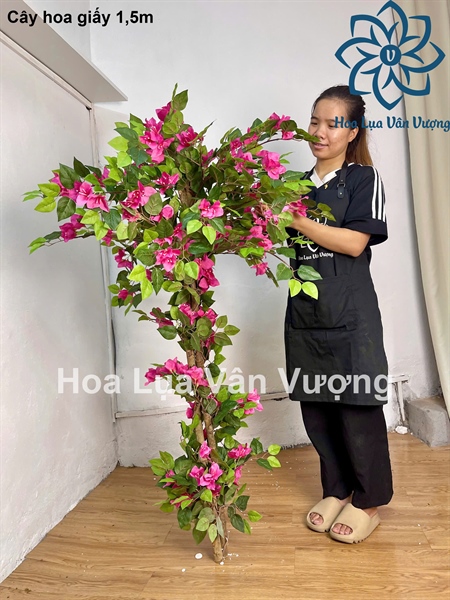Cây hoa giấy 1,5m - Cây - Hoa Lụa Vân Vượng
