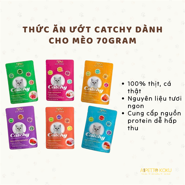 Pate Catchy cho mèo gói 70gram
