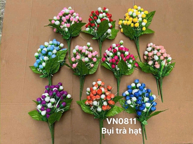 BỤI TRÀ HẠT 7 NHÁNH VN0811