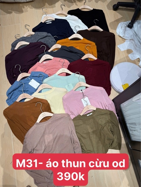 OD M31 Áo Thun Cừu Giấy