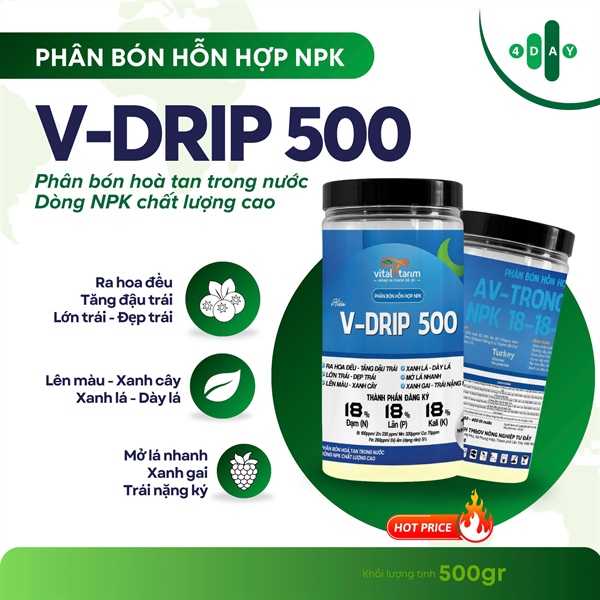 V-DRIP 500 Hủ