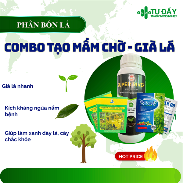 COMBO TẠO MẦM CHỜ - GIÀ LÁ (4 gói lân + 1 super river 1L+ 4 gói Beta-V)