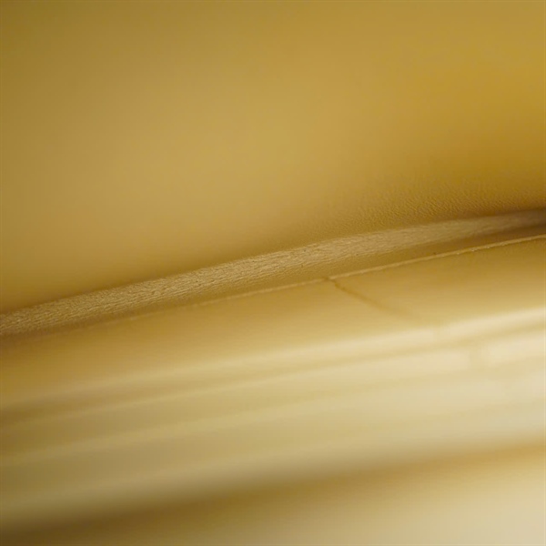 Túi Dior Saddle Chain Wallet vàng (46-MA-0242) sz19 (LN) KG+