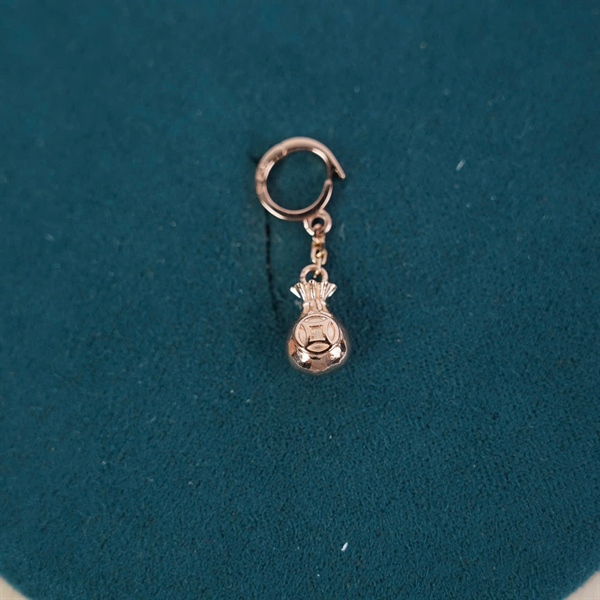 Charm vàng túi tiền móc to +