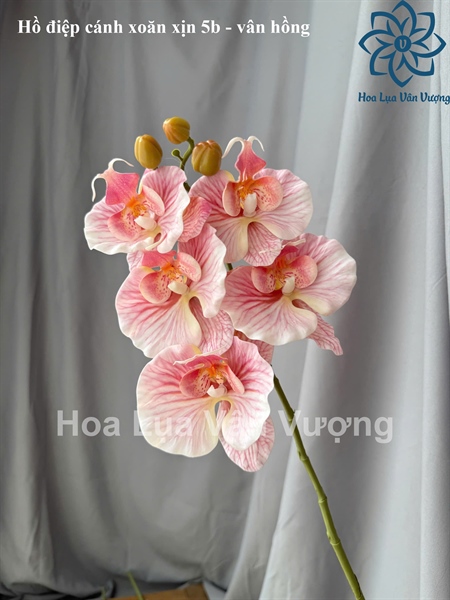 Hồ điệp cánh xoăn xịn 5b - Hồng - Hồ điệp, lan - Hoa Lụa Vân Vượng