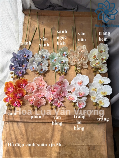 Hồ điệp cánh xoăn xịn 5b - Trắng - Hồ điệp, lan - Hoa Lụa Vân Vượng