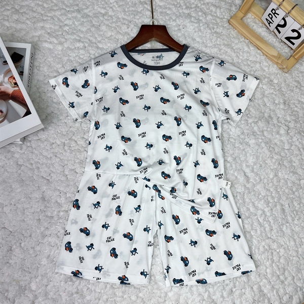 Bộ Tencel - Xe ô tô xám