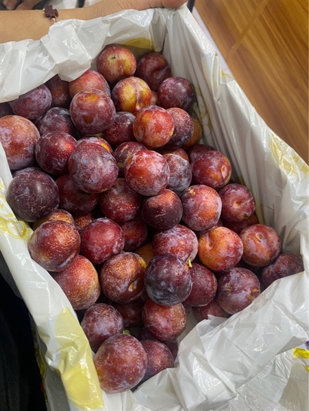 Mận mật ong đá 1kg