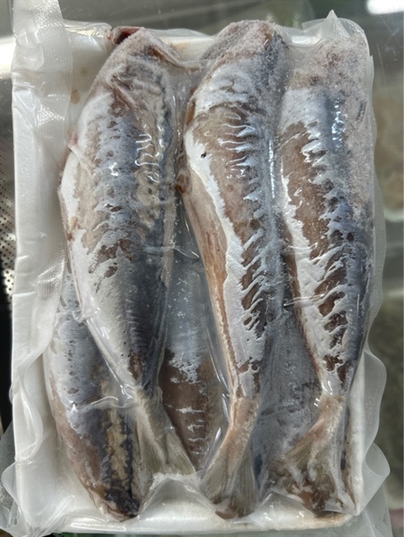 Cá nục một nắng