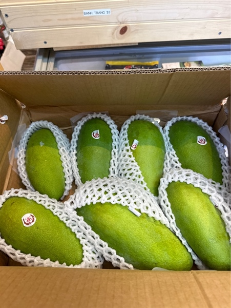 Xoài Tượng Đài Loan