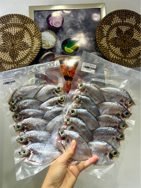 CÁ LIỆT TRẮNG làm sạch, rửa sạch