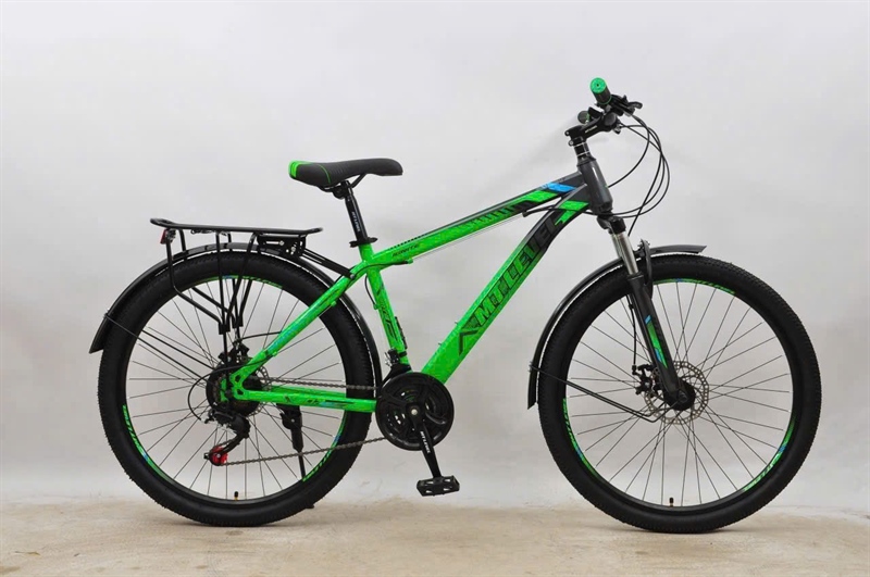 Xe 24 MT Level nam - Lá