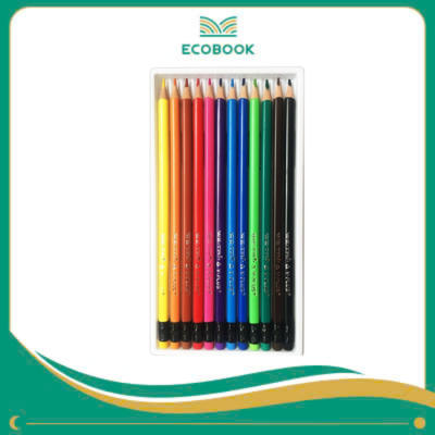 Bút chì màu gỗ WE FISH,12 màu - Y PLUS+ (4711678074199)