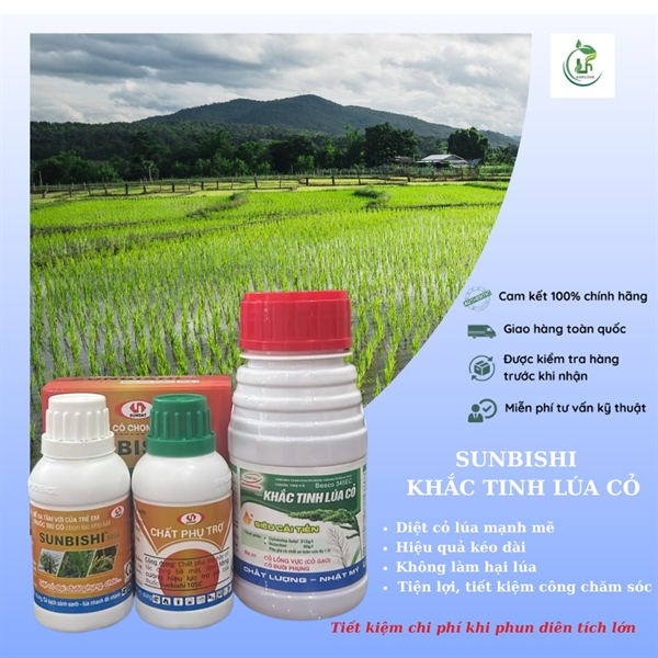 Combo cỏ lúa 2: Sunbishi 50ml x Khắc tinh lúa cỏ 240ml