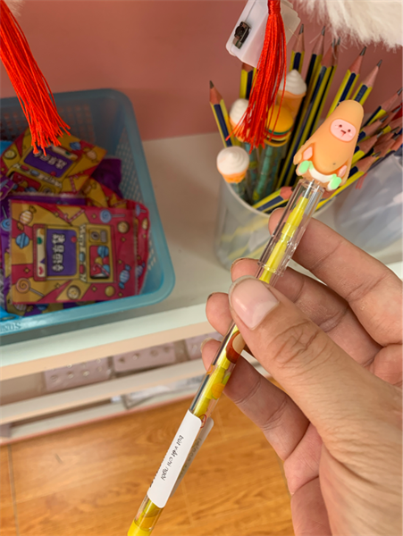 Bút viết chì ngòi