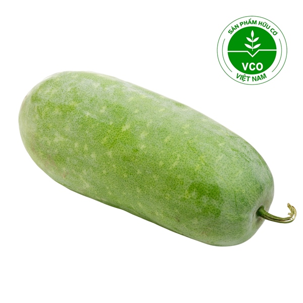 Bí Đao Hữu cơ (Trái 300-400 g)