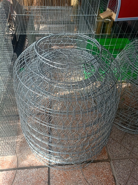 Bội gà 6 tấc dày 1kg65 chống soi