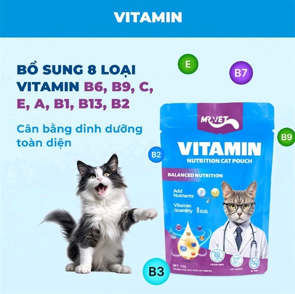 Pate Mr.Vet bổ sung Vitamin vị Gà 70g
