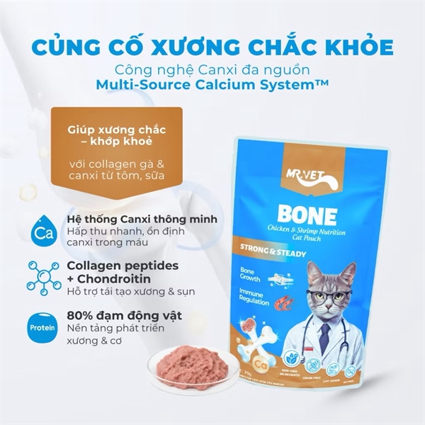 Pate Mr.Vet BONE 70g