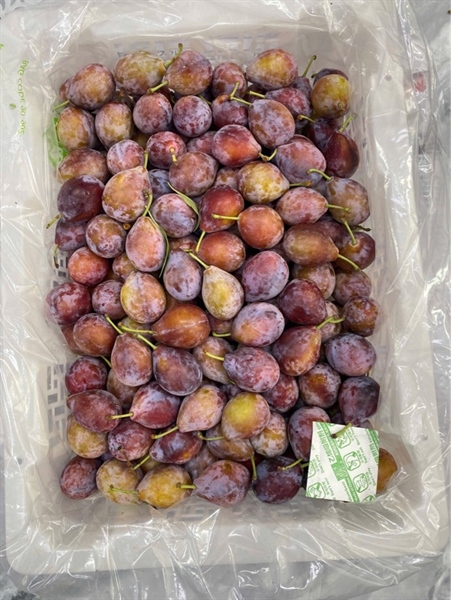 Mận Đường Chille Kg