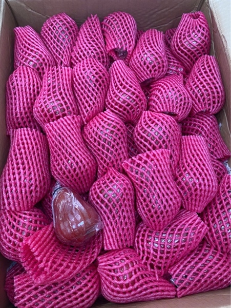 Mận An Phước Mã Mới Kg