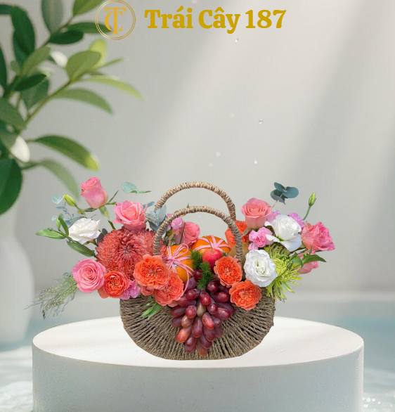 Giỏ Trái Cây 5.0