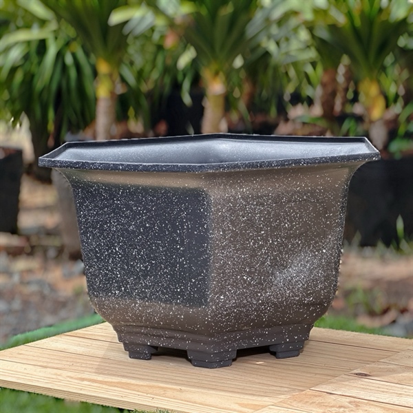 Chậu Mai 180 - Đá Đen (VM)