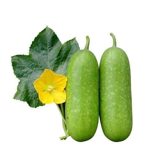 BÍ ĐAO TRÁI 500-800G