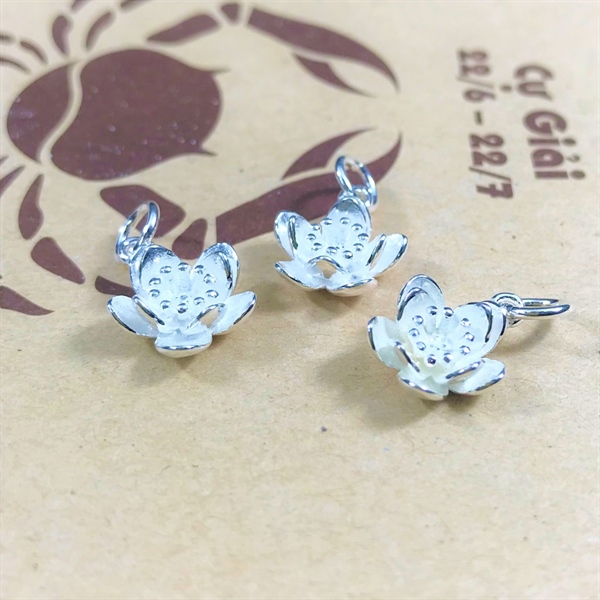 Móc treo hoa mai CB377