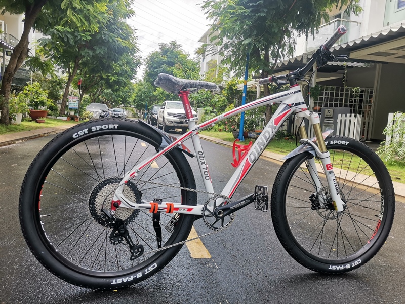 Xe đạp Qindx trắng 06