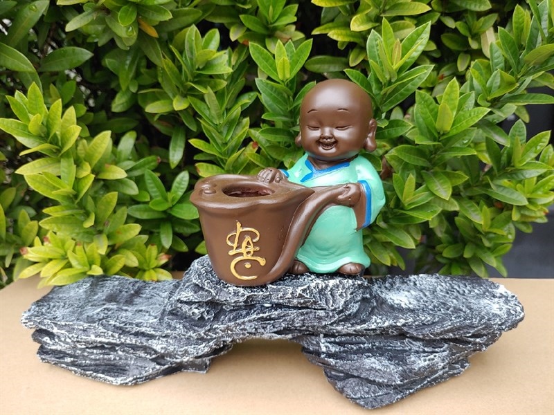 COMBO CHÚ TIỂU TRỒNG CÂY MỚI