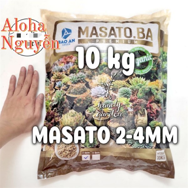 ĐÁ MASATO