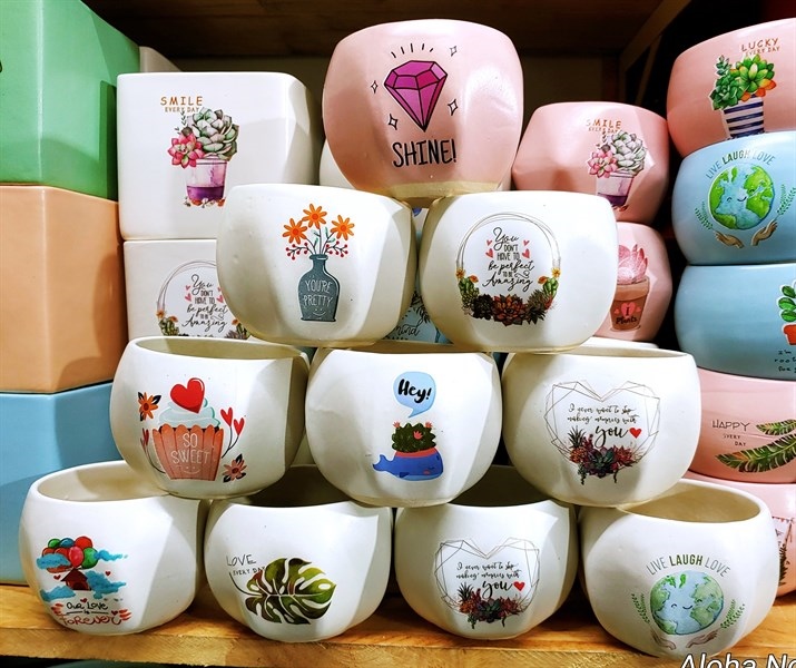 CHẬU BẦU LÕM MINI CÓ HÌNH ( CAO7cm X RỘNG8cm)