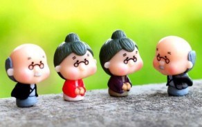 CẶP ĐÔI ÔNG BÀ NHỎ TIỂU CẢNH