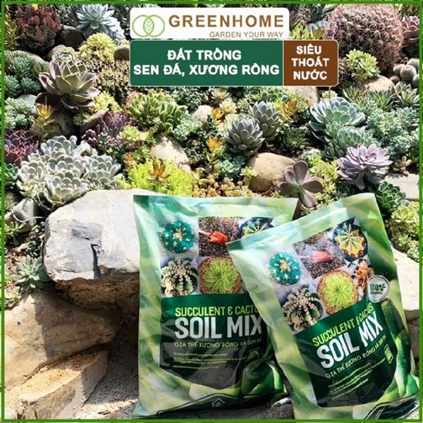 ĐẤT SOILMIX