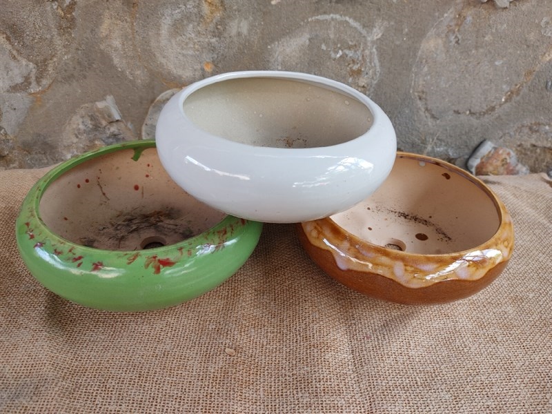 CHẬU BO MEN