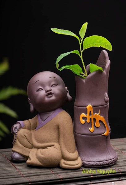 CHẬU CHÚ TIỂU CHỮ AN