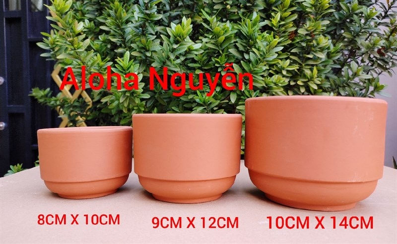 CHẬU TRỤ RỜ ĐẤT NUNG